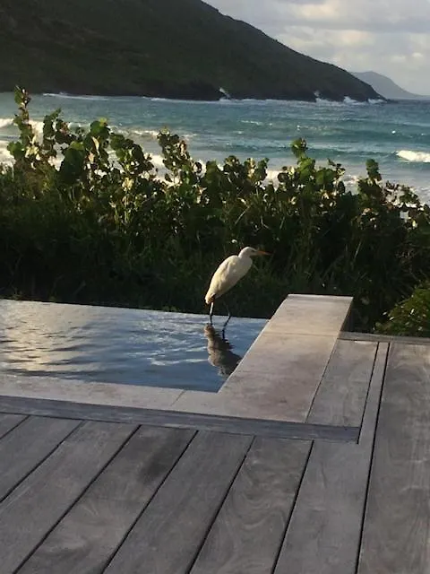 Oceanfront Beach House - Rate Special- Valentines On Beach W Club Access Tennis King Bed Christophe Harbour 0*,  São Cristóvão e Neves